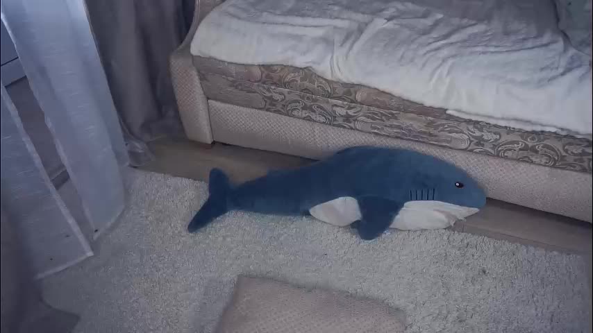 meghanantell Live Sex January 21, 2026