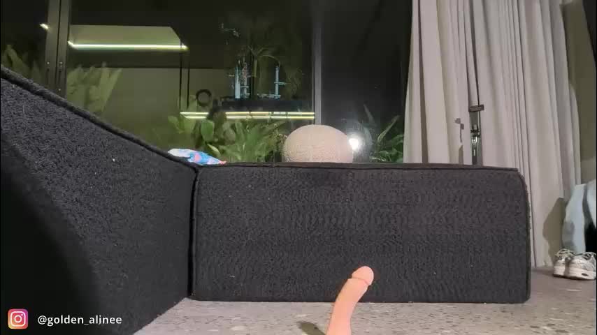 golden_alinee Live Sex January 21, 2026