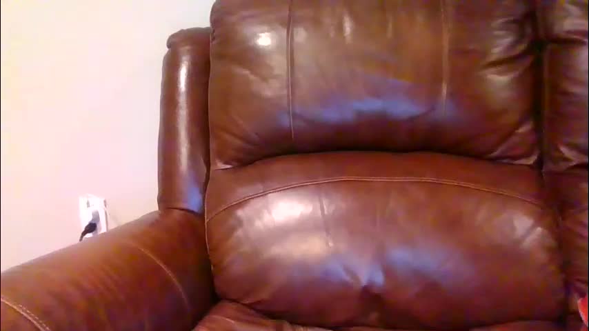 alliebearx Live Sex January 21, 2026