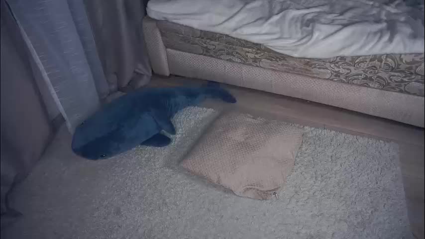 meghanantell Live Sex January 22, 2026