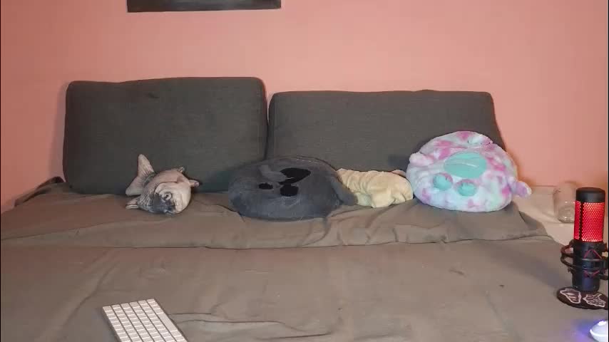 katusha008 Live Sex January 22, 2026