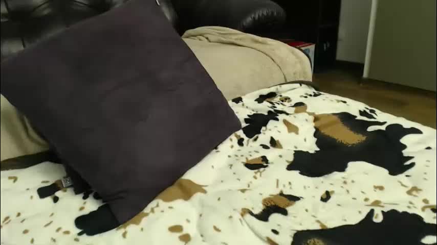 hot44cat Live Sex January 22, 2026