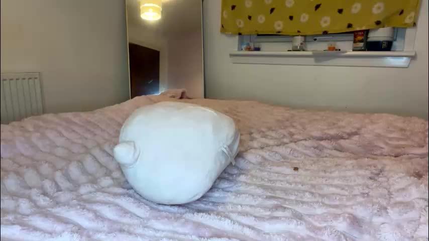 cheekykatx Live Sex January 22, 2026