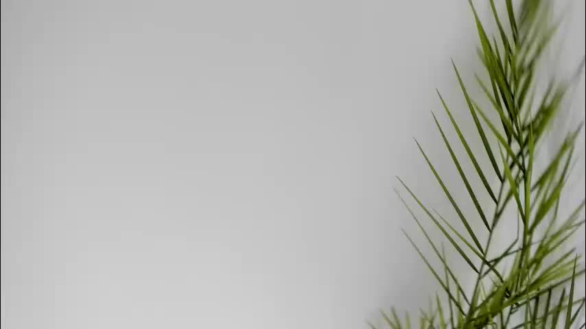 misspanthera Live Sex January 22, 2026