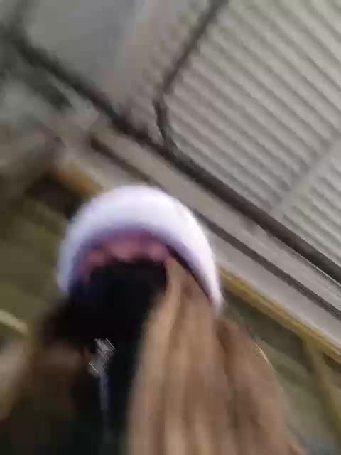 Angelia22 Live Sex January 23, 2026