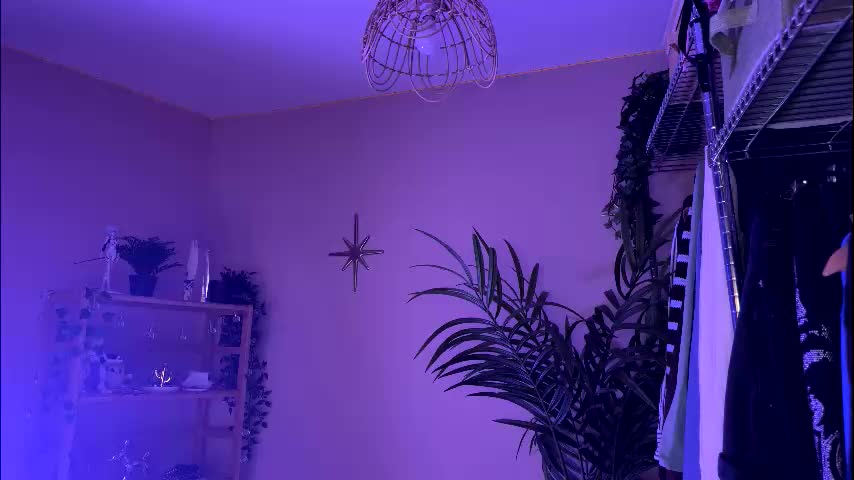 vixenp Live Sex January 23, 2026