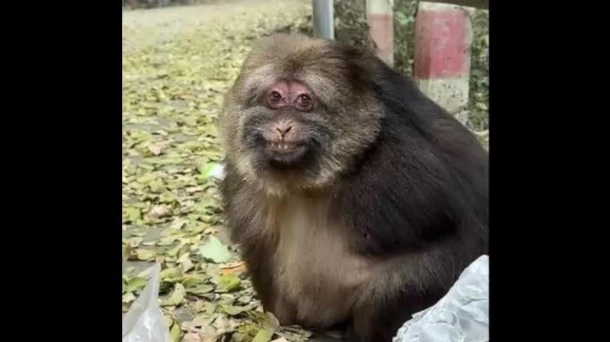 nervus_vagus Live Sex January 23, 2026