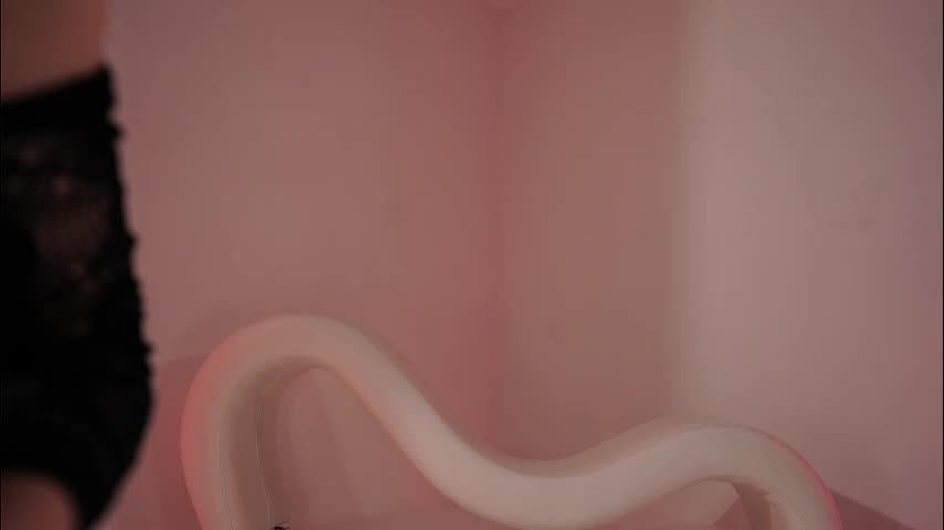 _meganmeow_ Live Sex January 23, 2026