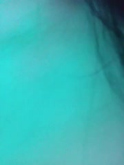 Ali_na Live Sex January 24, 2026