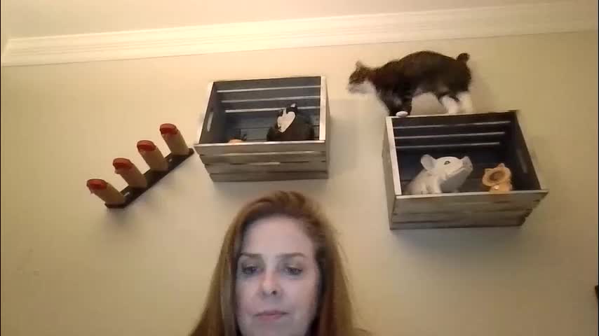 iampoppyy Live Sex January 24, 2026