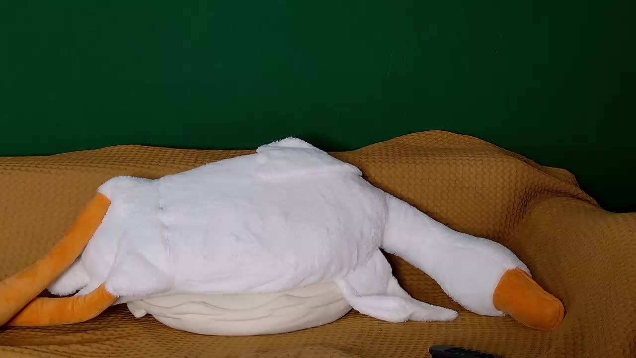 jane-booblegum Live Sex January 24, 2026