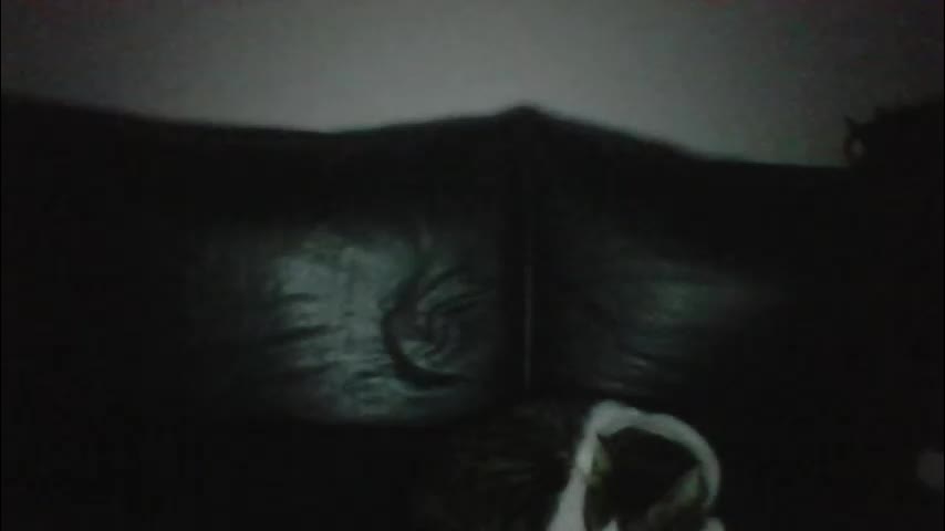 milagaborxx Live Sex January 24, 2026