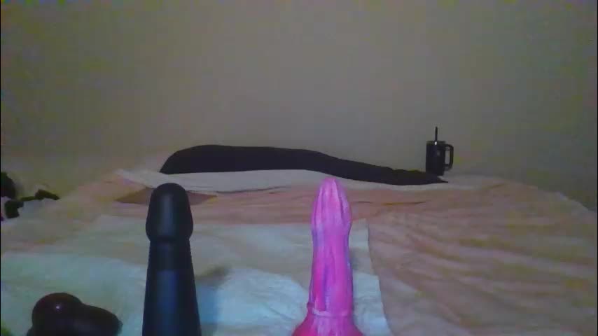 sdbeachfreaks Live Sex January 24, 2026