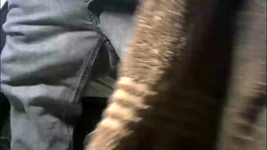 xbigtymerx Live Sex January 24, 2026