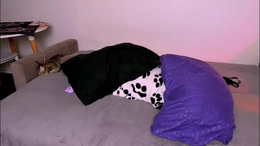 ladytrep Live Sex January 24, 2026