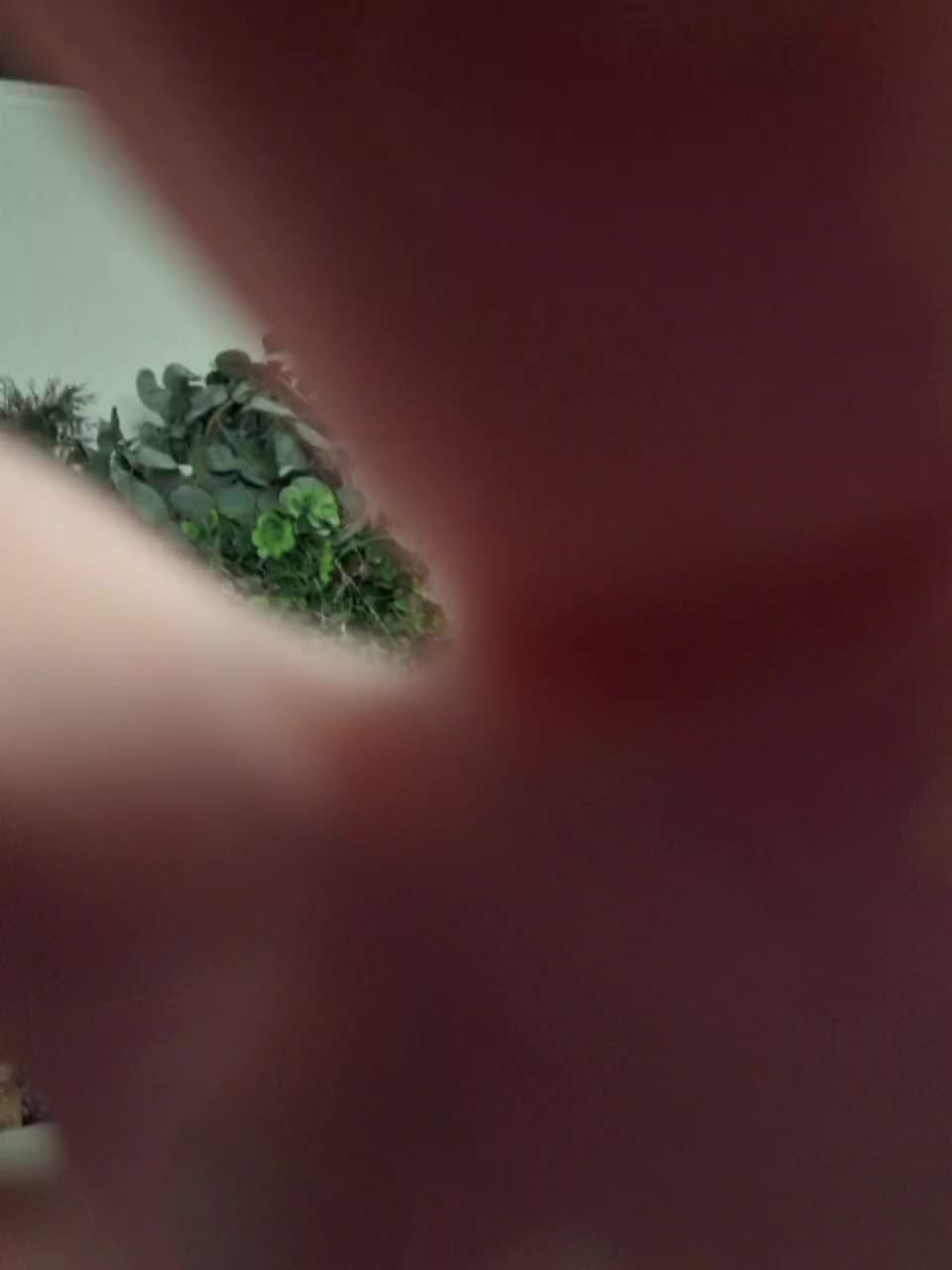 -scyrim- Live Sex January 24, 2026