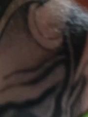 RedFox9595 Live Sex January 25, 2026