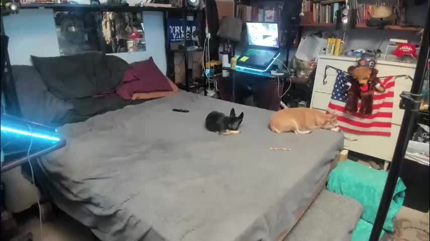 pink_black Live Sex January 25, 2026