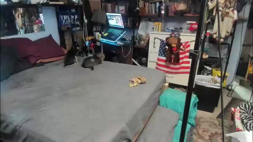 pink_black Live Sex January 25, 2026