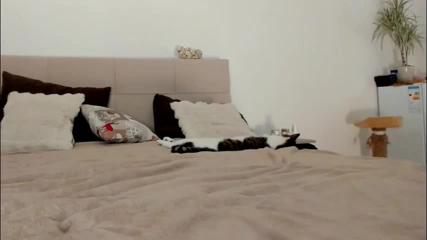 imogensy Live Sex January 25, 2026