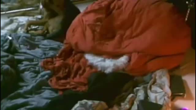 annunakispawn Live Sex January 25, 2026