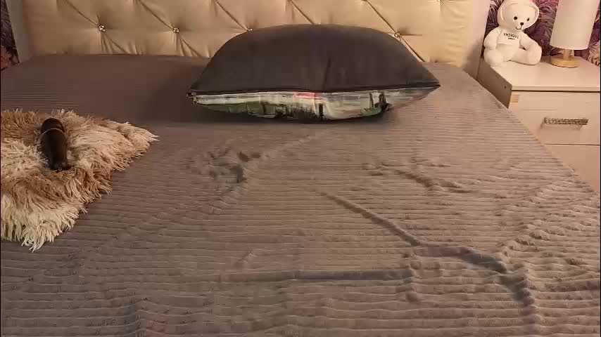 freyabyrne Live Sex January 25, 2026