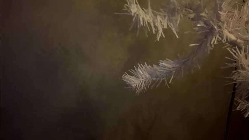 dunny_sexysusie69 Live Sex January 25, 2026