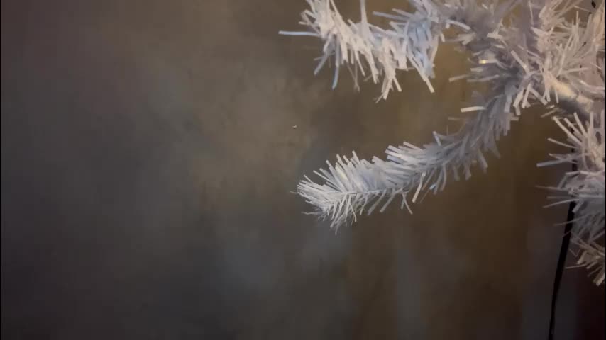 dunny_sexysusie69 Live Sex January 26, 2026