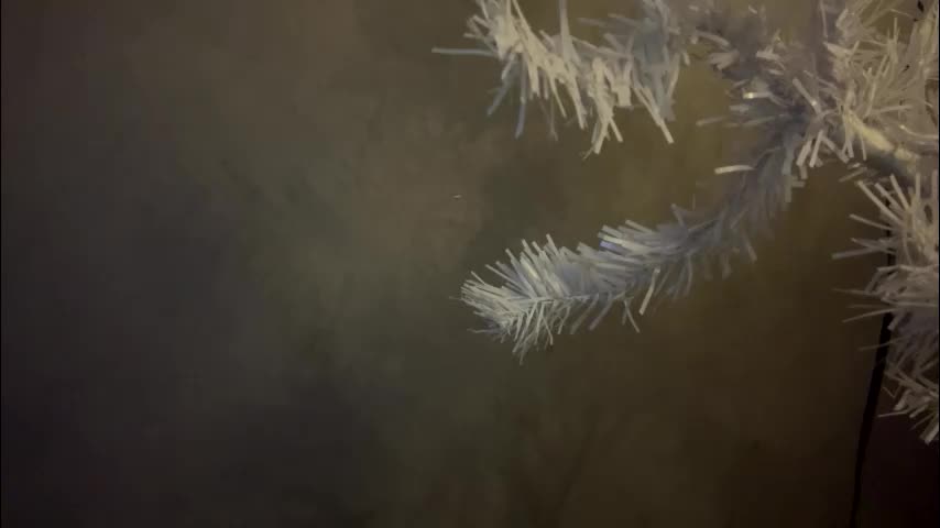 dunny_sexysusie69 Live Sex January 26, 2026