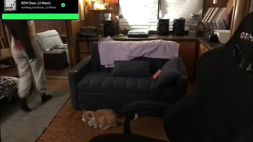 incognitoqueen Live Sex January 26, 2026