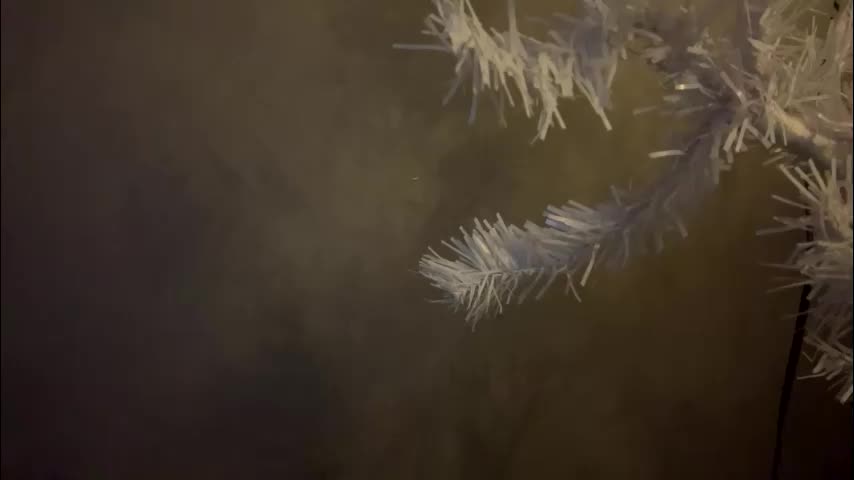 dunny_sexysusie69 Live Sex January 26, 2026