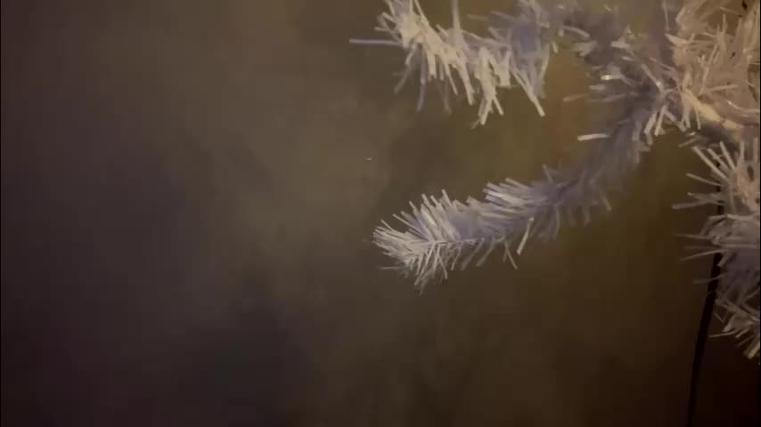 dunny_sexysusie69 Live Sex January 26, 2026