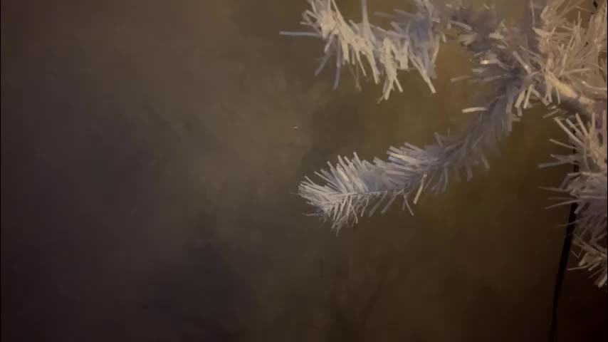 dunny_sexysusie69 Live Sex January 26, 2026