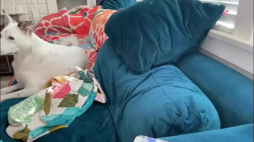 dreamyriri Live Sex January 26, 2026