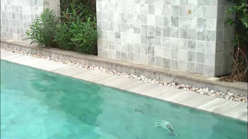 _bamby_baby_ Live Sex January 26, 2026