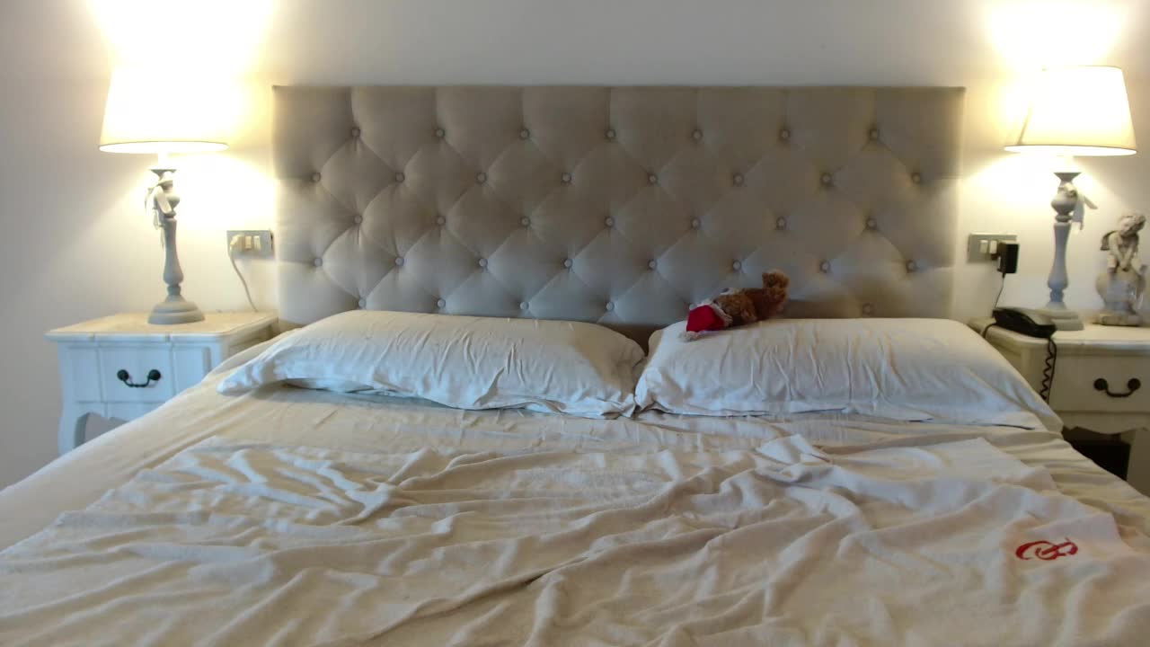 Sweet_Perry Live Sex January 27, 2026