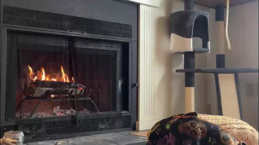 sweet_truffle Live Sex January 27, 2026