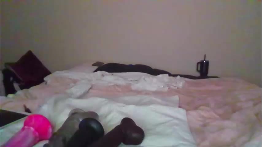 sdbeachfreaks Live Sex January 27, 2026