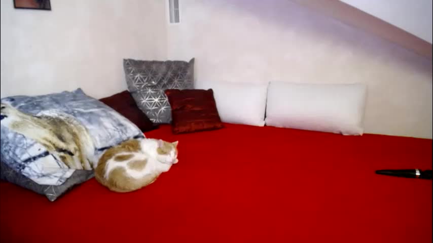 kathylovexxx Live Sex January 27, 2026