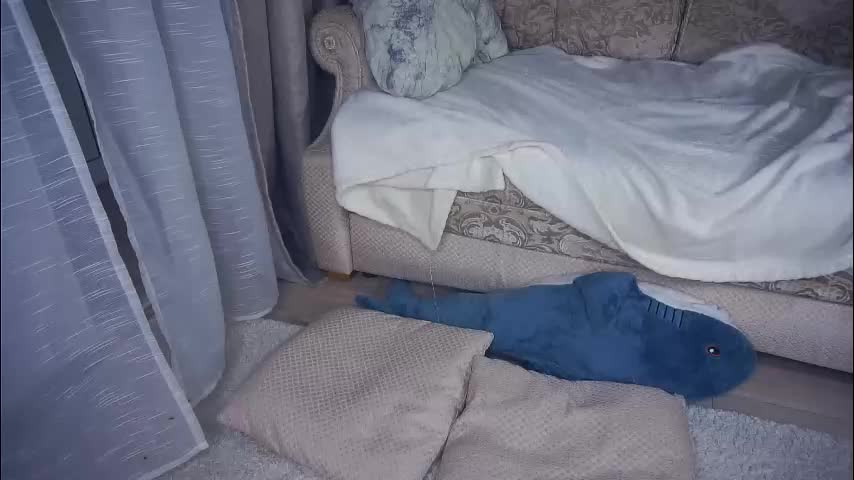 meghanantell Live Sex January 28, 2026