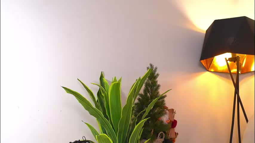 katymolly Live Sex January 28, 2026