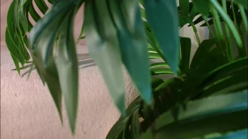 imcarrieberry Live Sex January 28, 2026