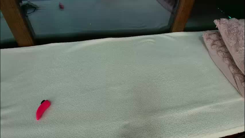 _parishill Live Sex January 28, 2026