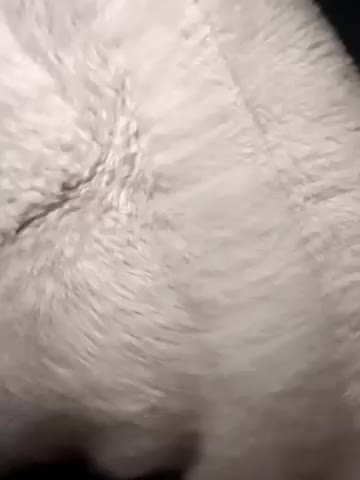 NEW_SWEET Live Sex January 28, 2026