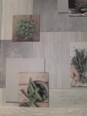 Anesteishen Live Sex January 28, 2026