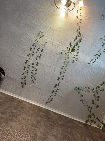 AmmyHot Live Sex January 28, 2026