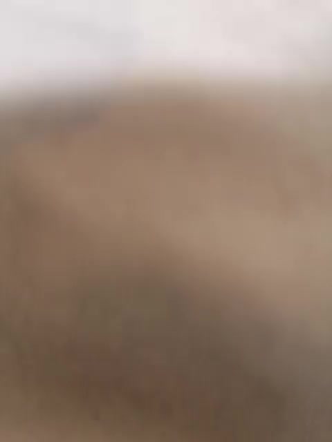 Nika0000 Live Sex January 29, 2026