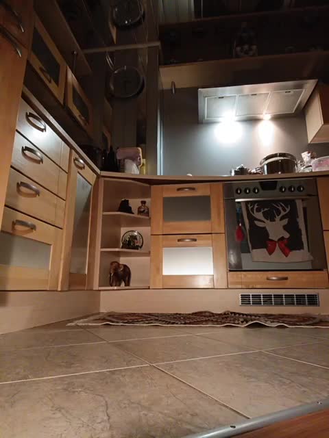 Annanas Live Sex January 29, 2026