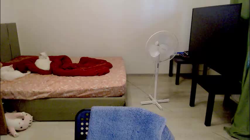 kitten_jenny01 Live Sex January 30, 2026