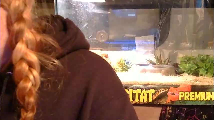 x2kayx2 Live Sex January 30, 2026